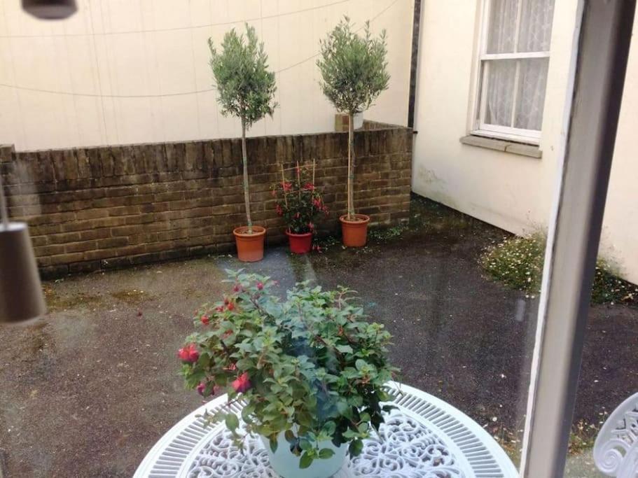 Flat 1 Alfred Mews